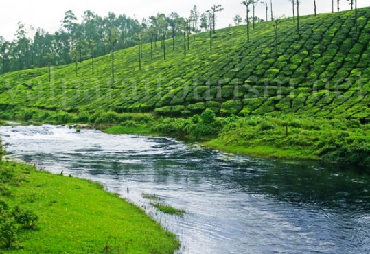 pollachi valparai athirapally tour packages