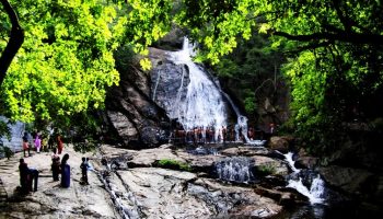 valparai athirapally tour packages