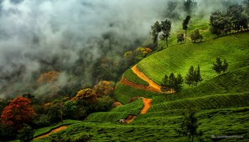 valparai tour package from chennai