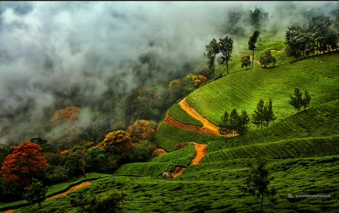 valparai trip from chennai