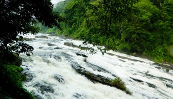 valparai tour packages